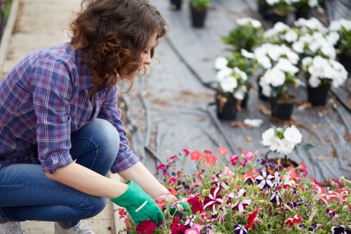 Gardening Hayes team at work in a residential garden demonstrating safety practices