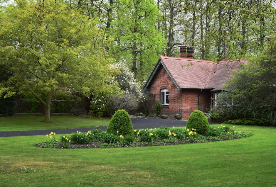 A gardener's hands, wearing blue jeans and holding long-handled pruning shears with yellow and green accents, are trimming a dense, rounded shrub with small, bright green leaves. The shrub is situated