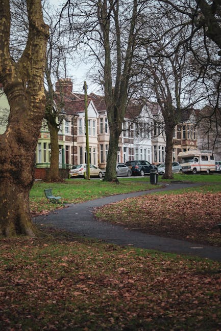 A peaceful urban park scene with a winding paved pathway cutting through a grassy area covered in fallen autumn leaves. To the left, a large, mature tree with textured bark and budding branches is vis